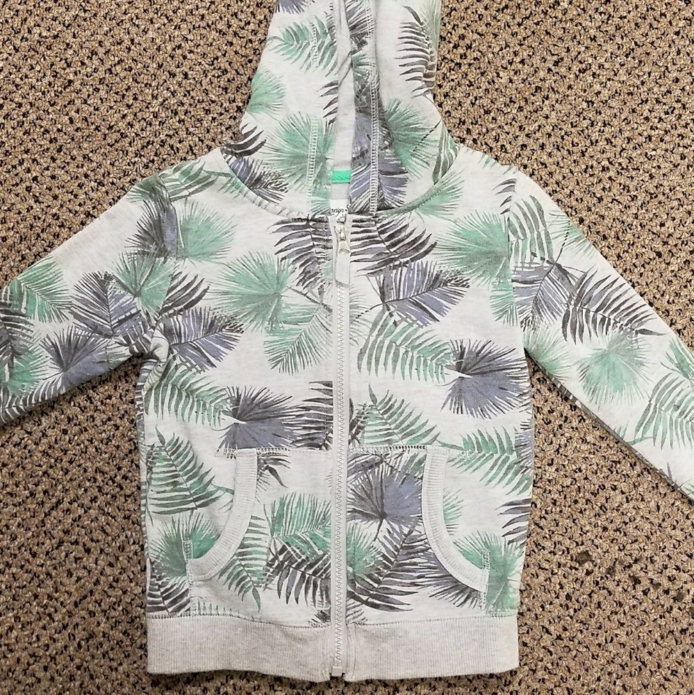 Toddler Hoodie with Palm Frawns